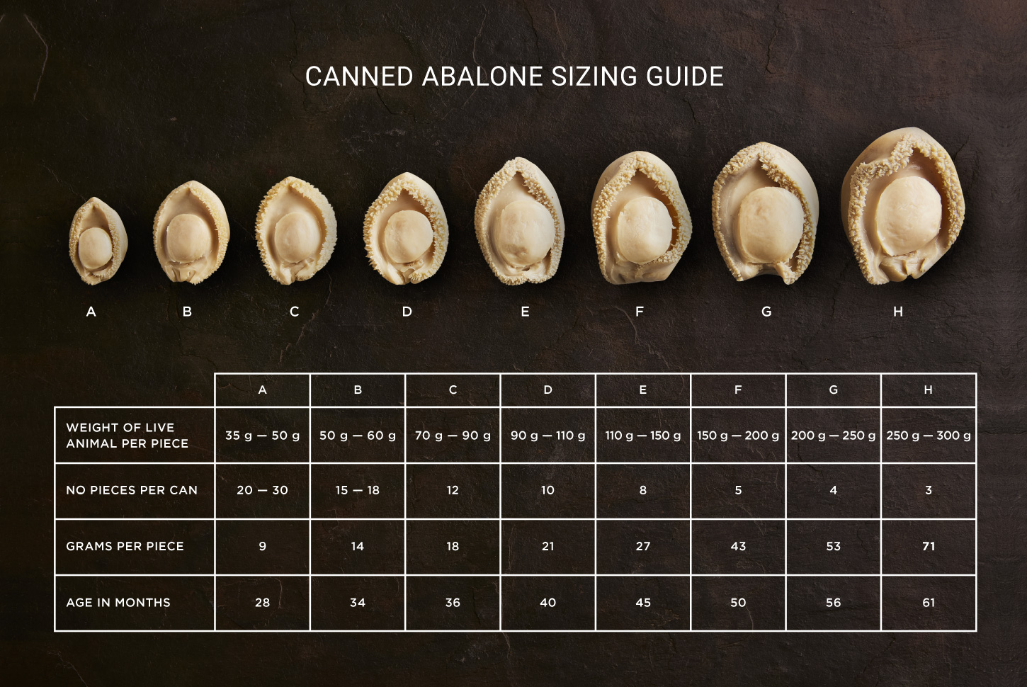 Product-Sizing-Guide-Canned-Table