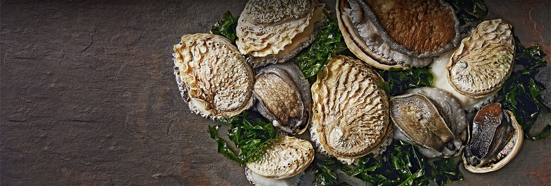 Products Cape Abalone